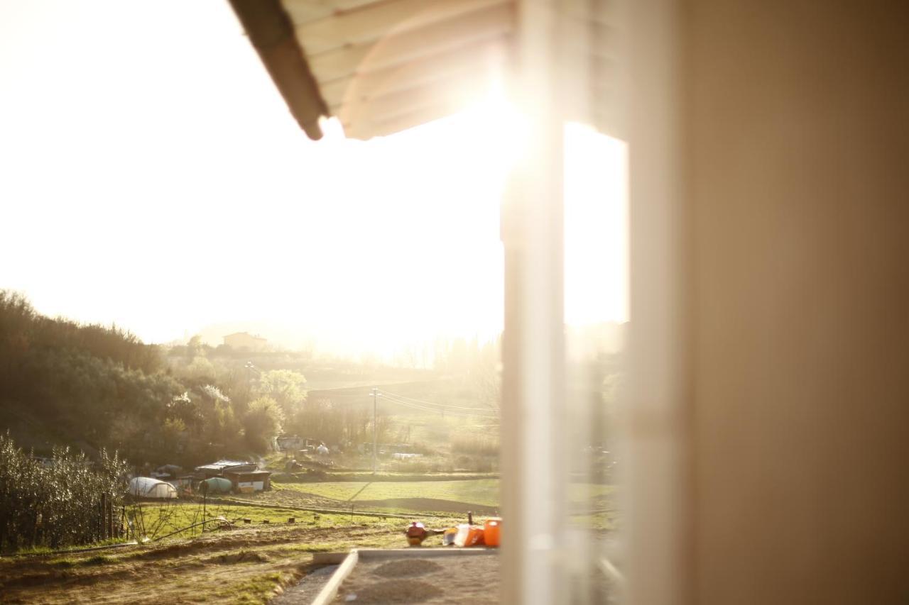 Le Mammole Bed & Breakfast San Miniato Exterior photo